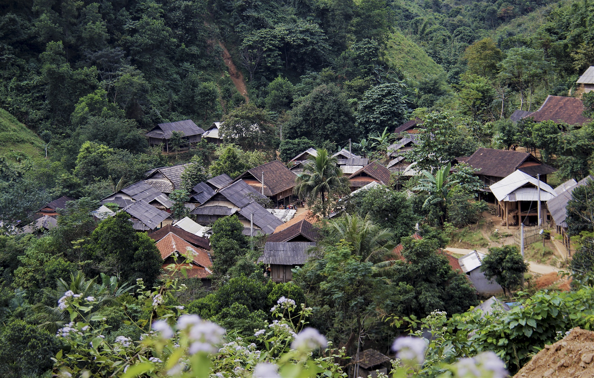 buon ban bao thai qua bien gioi anh 2