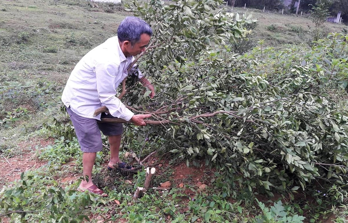 truy tim ke chat cam cua dan anh 1