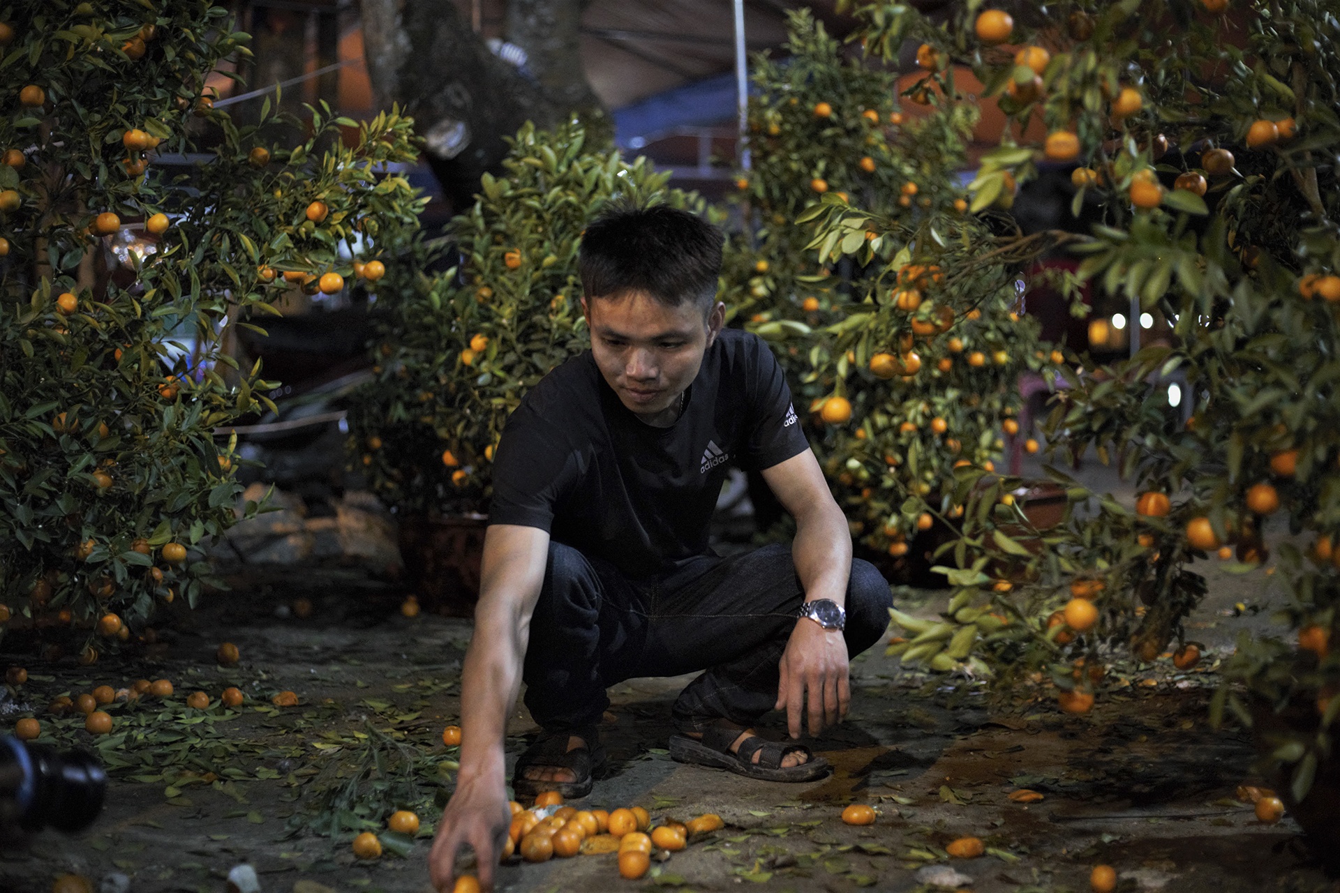 chat chem quat canh dem giao thua anh 7