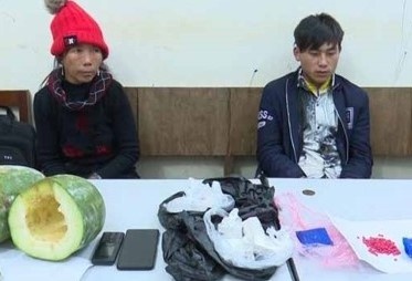 Giau ma tuy trong ruot qua bi xanh hinh anh