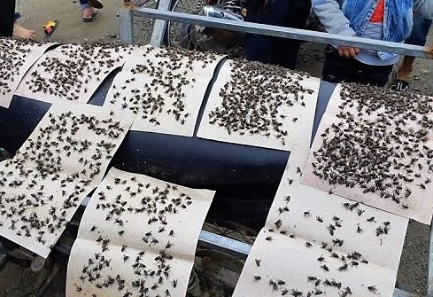 chặn nhà máy rác vì ô nhiễm ảnh 2 chan nha may rac vi o nhiem anh 2