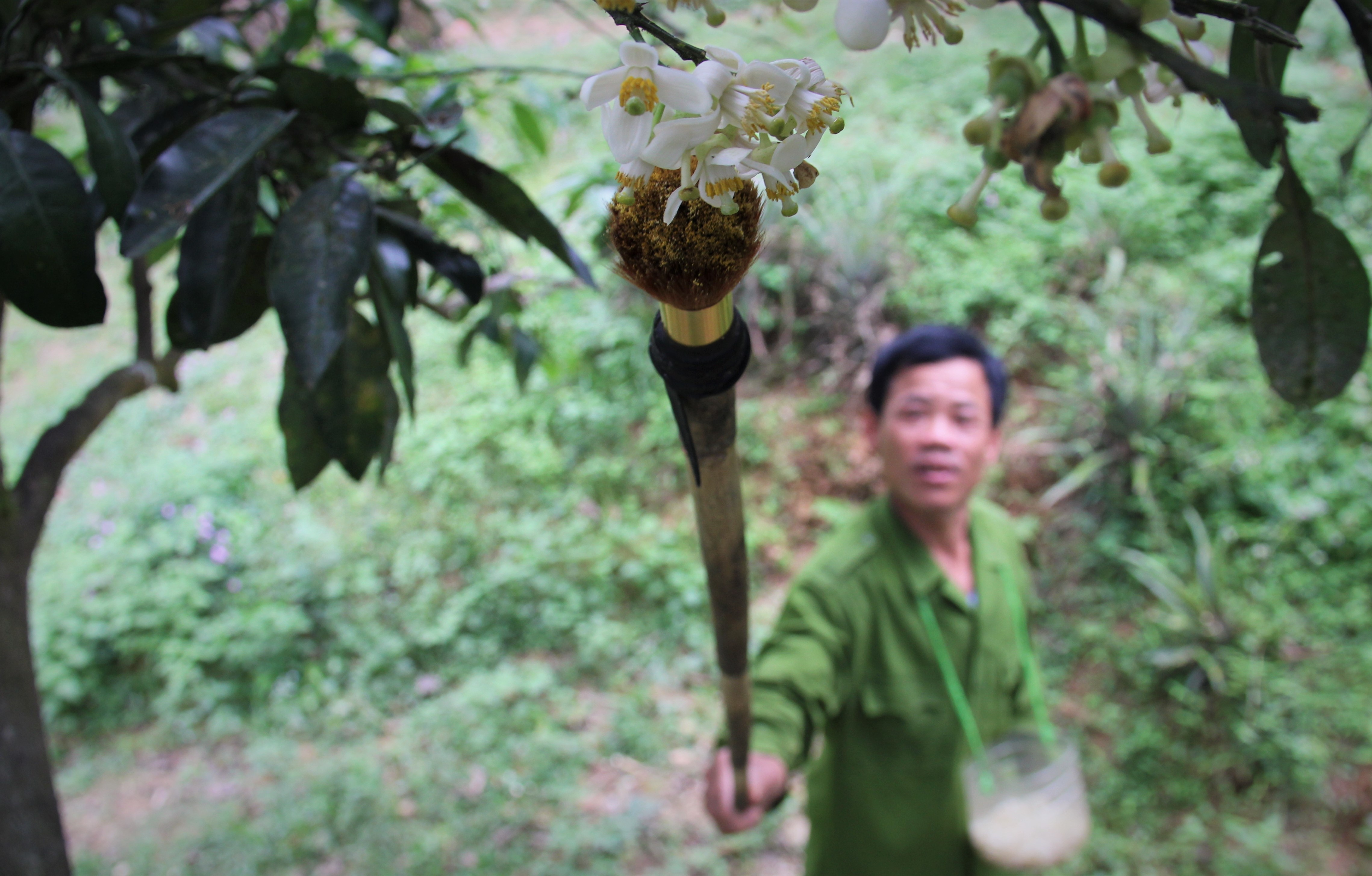 Nguoi dan thu phan cho buoi dac san Phuc Trach hinh anh