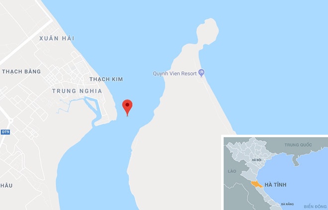 thả rùa về biển ảnh 2 tha rua ve bien anh 2