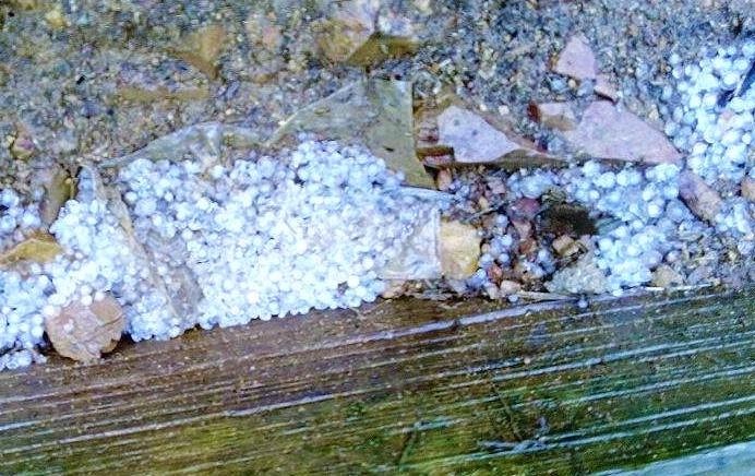 Mua da 15 phut gay thiet hai hoa mau o Nghe An hinh anh