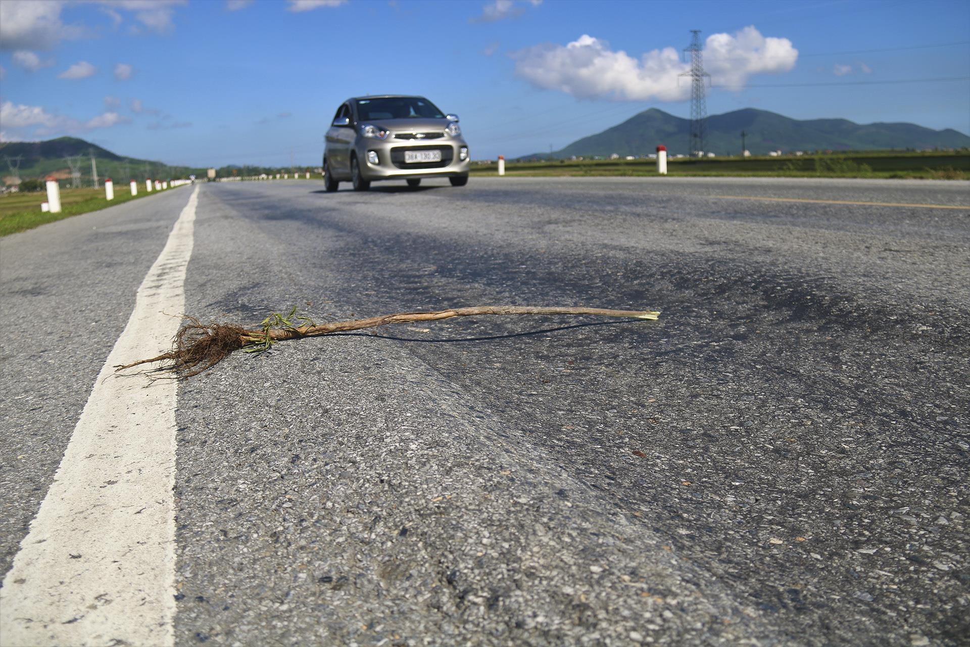 quoc lo nghin ty sut lun anh 11