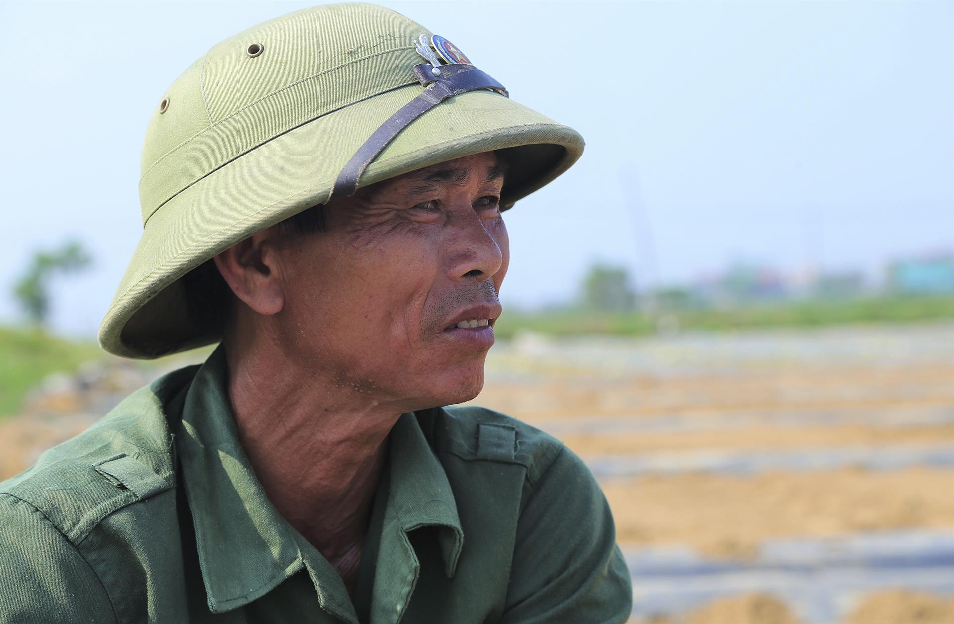 dua le sau benh hu hong anh 9