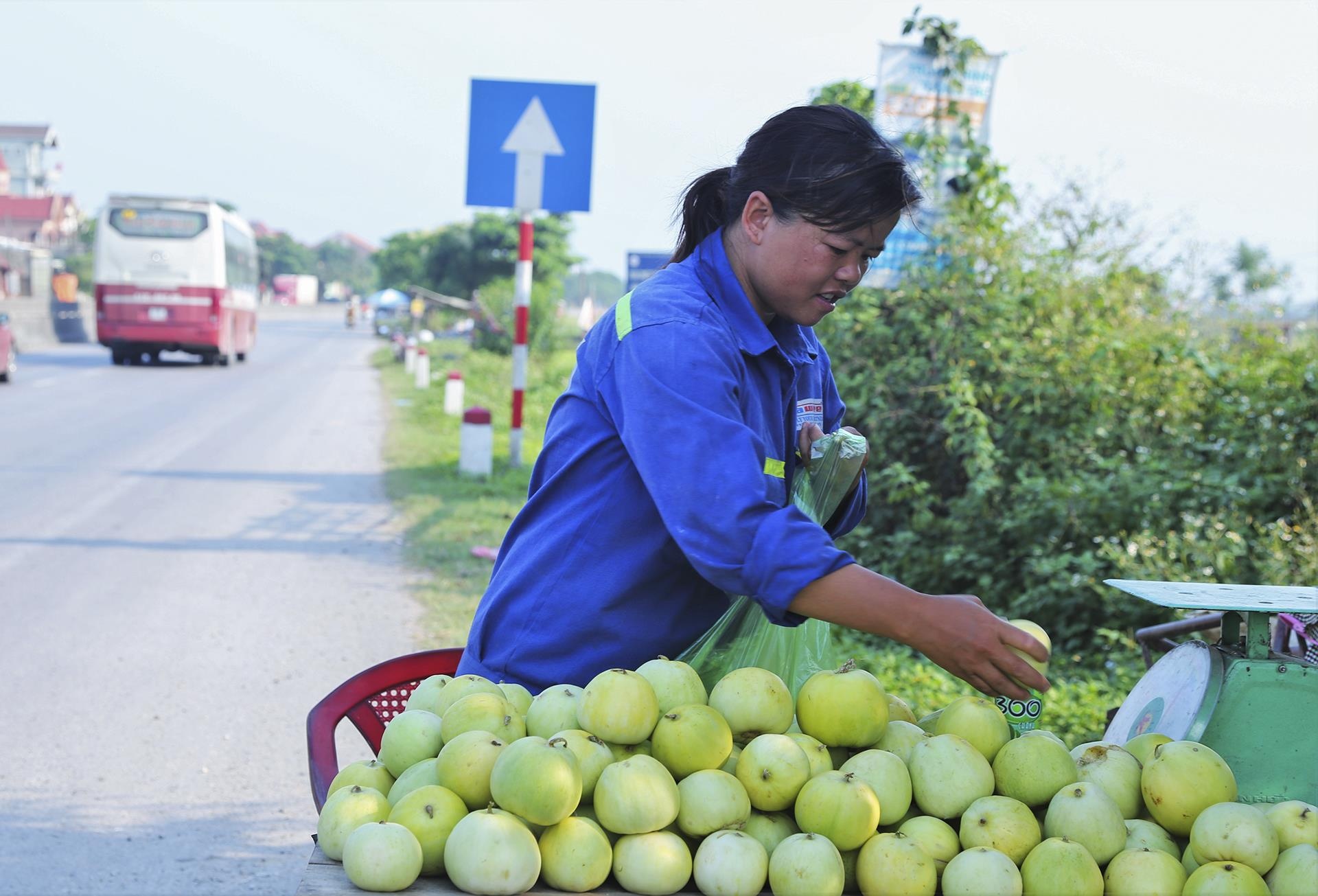 dua le sau benh hu hong anh 12