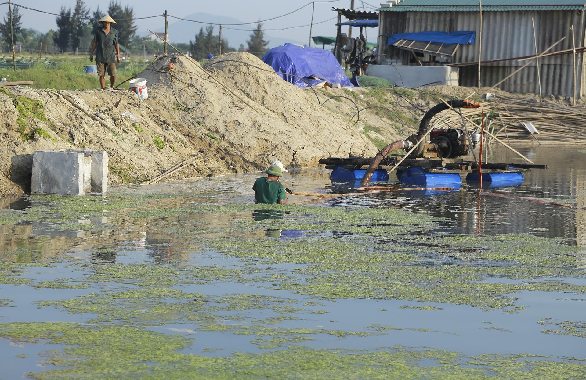 oc chet hang loat khong ro nguyen nhan anh 9