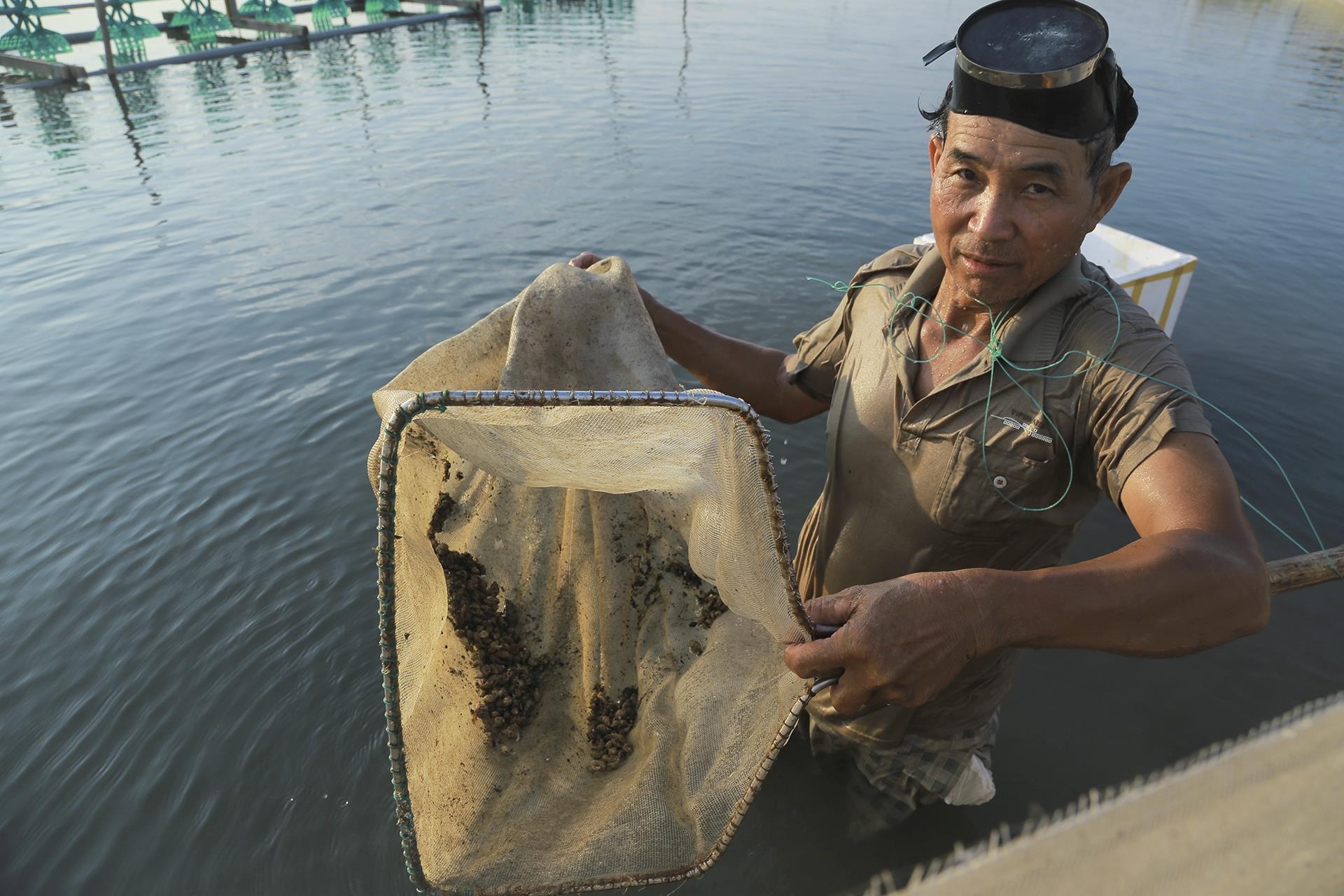 oc chet hang loat khong ro nguyen nhan anh 4