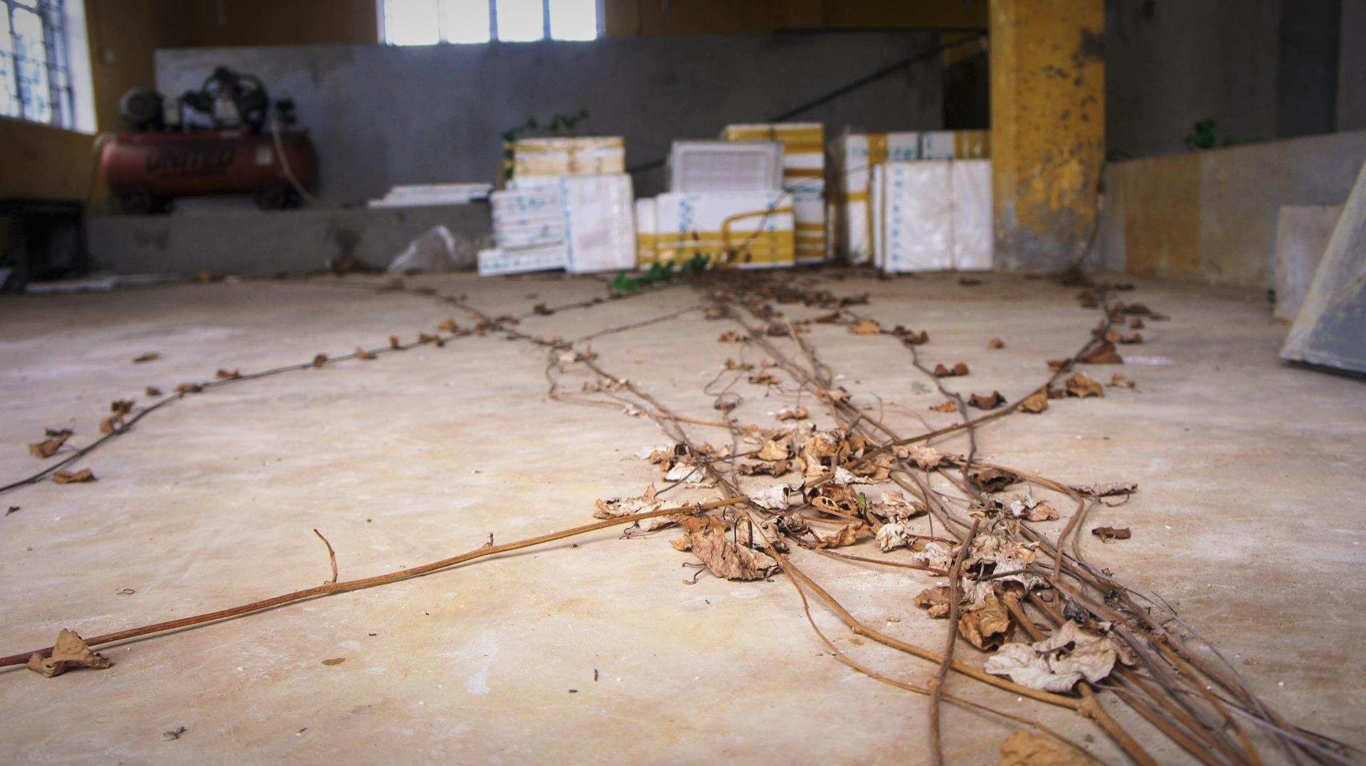 trung tap thuc nghiem hoang phe anh 10