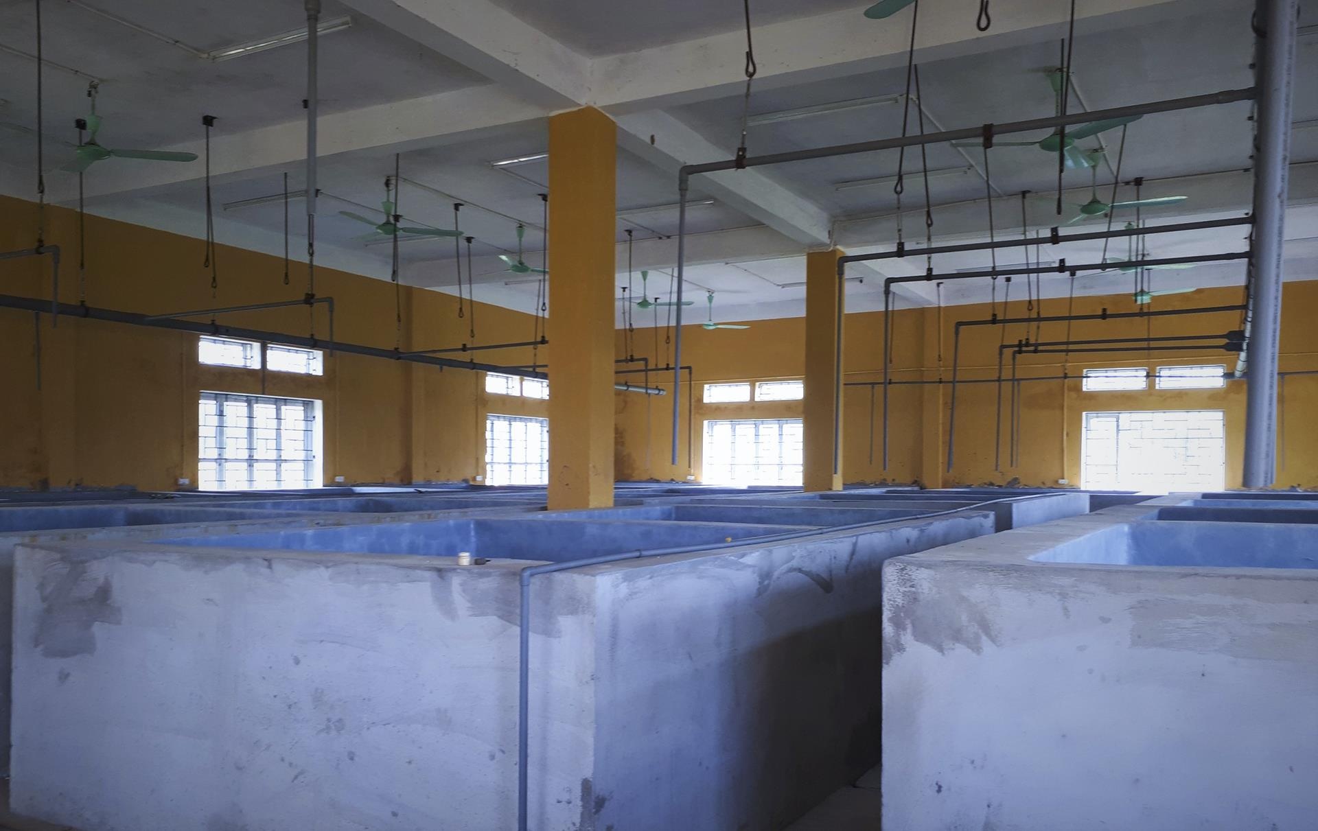 trung tap thuc nghiem hoang phe anh 12