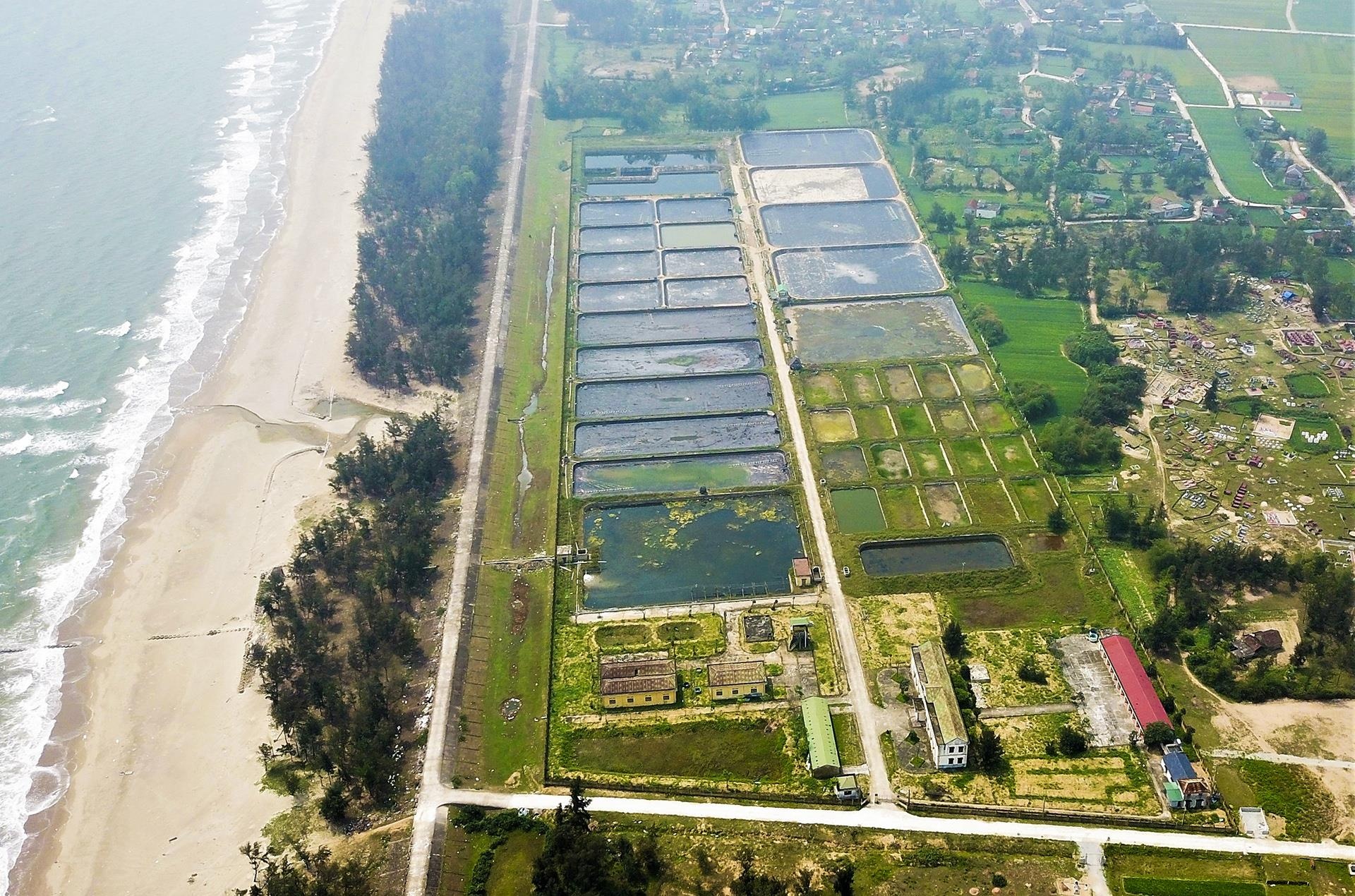 trung tap thuc nghiem hoang phe anh 1