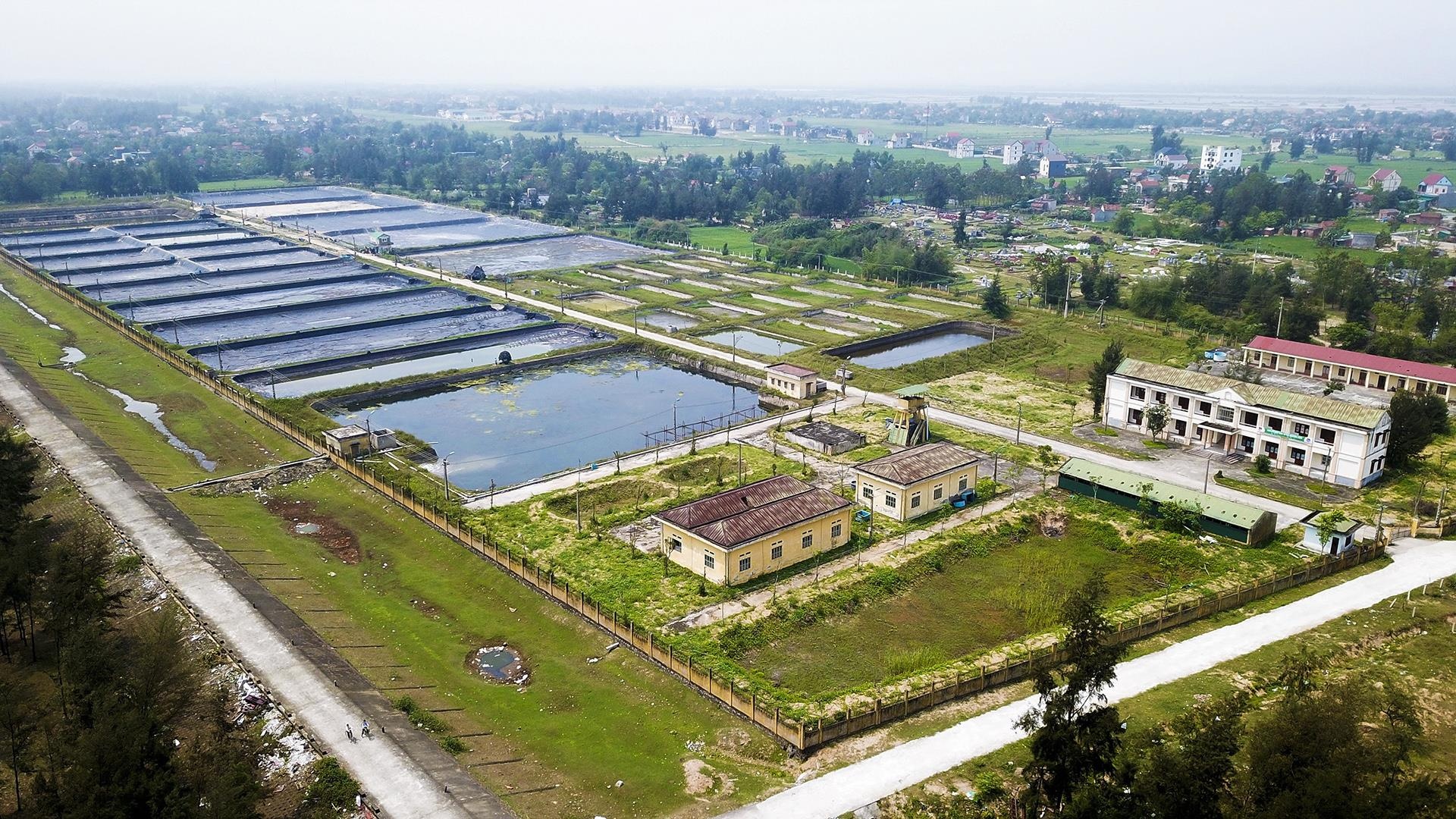 trung tap thuc nghiem hoang phe anh 2