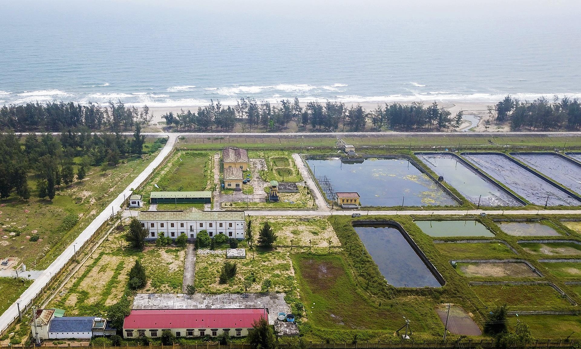 trung tap thuc nghiem hoang phe anh 3