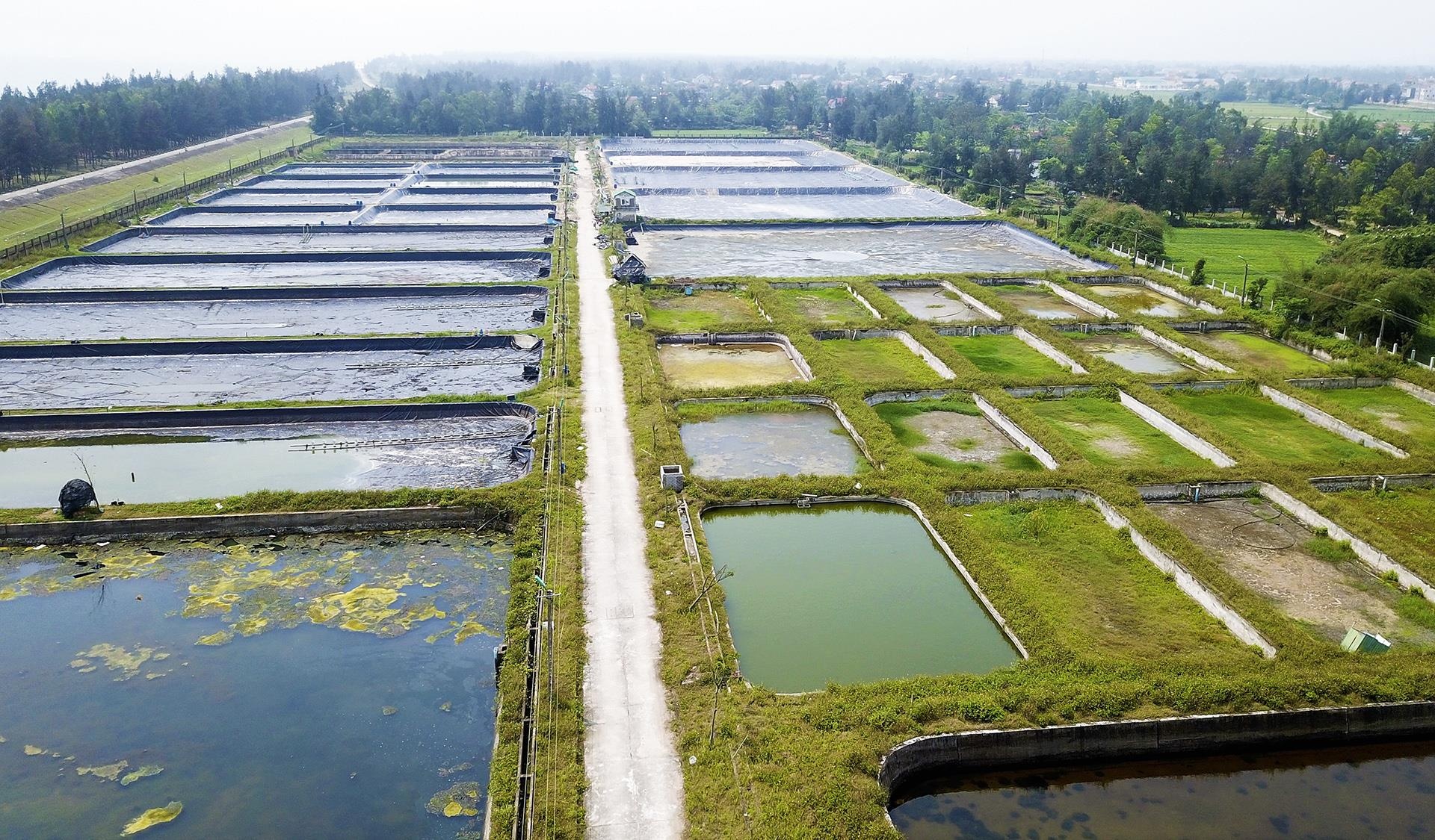 trung tap thuc nghiem hoang phe anh 4