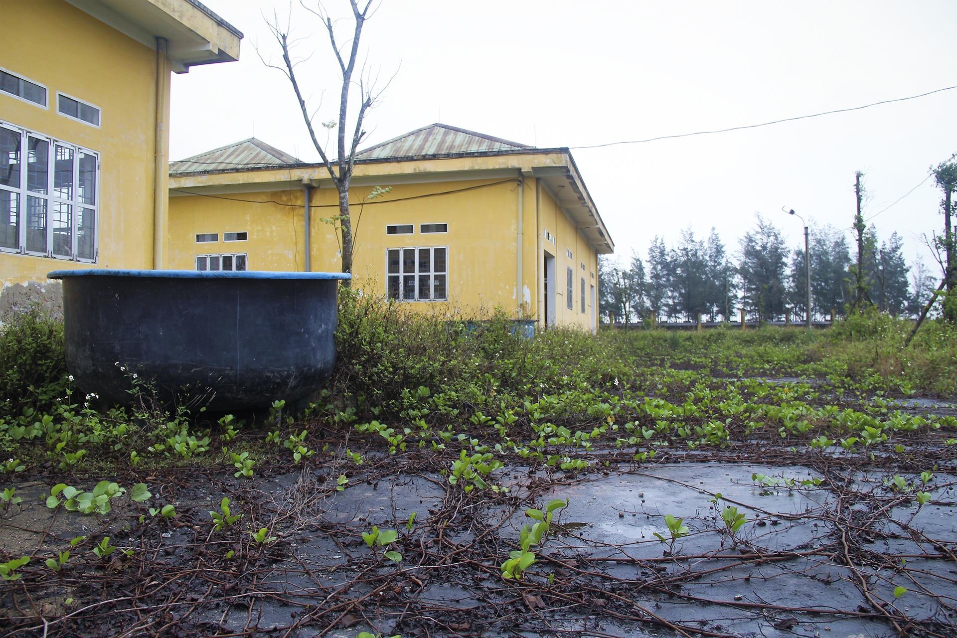 trung tap thuc nghiem hoang phe anh 8