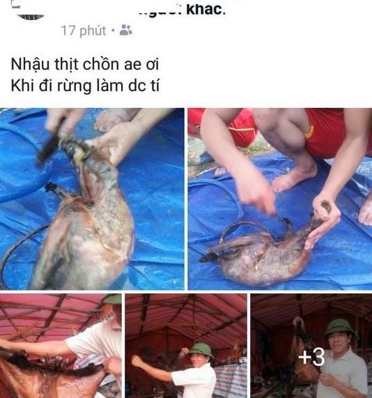 giết chồn bay rồi đăng lên Facebook ảnh 2 giet chon bay roi dang len Facebook anh 2