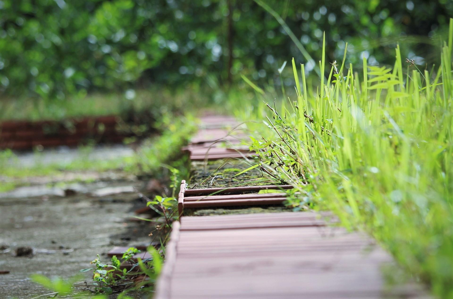 Trường học tiền tỷ bỏ hoang ảnh 12 Truong hoc tien ty bo hoang anh 12