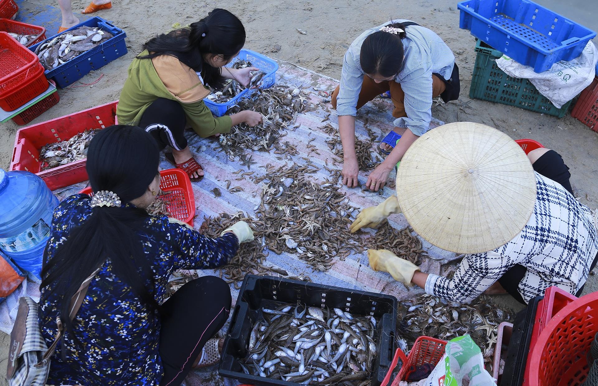 cho ca luc rang sang tren bo bien anh 10