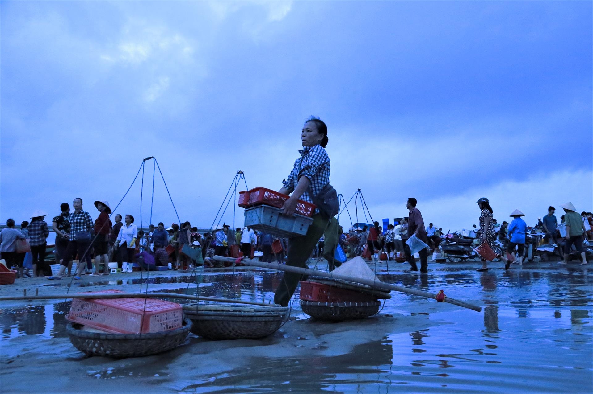 cho ca luc rang sang tren bo bien anh 11