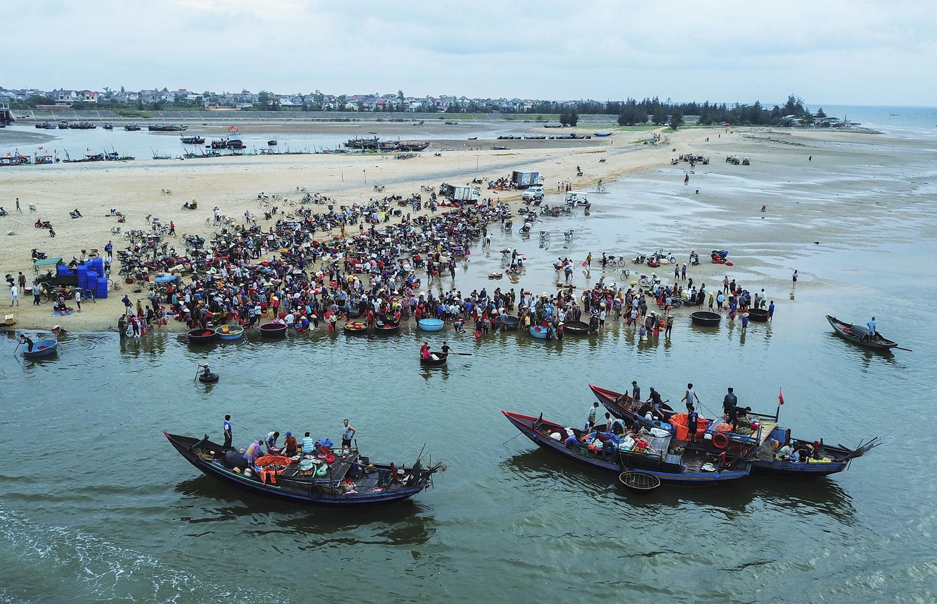 cho ca luc rang sang tren bo bien anh 5