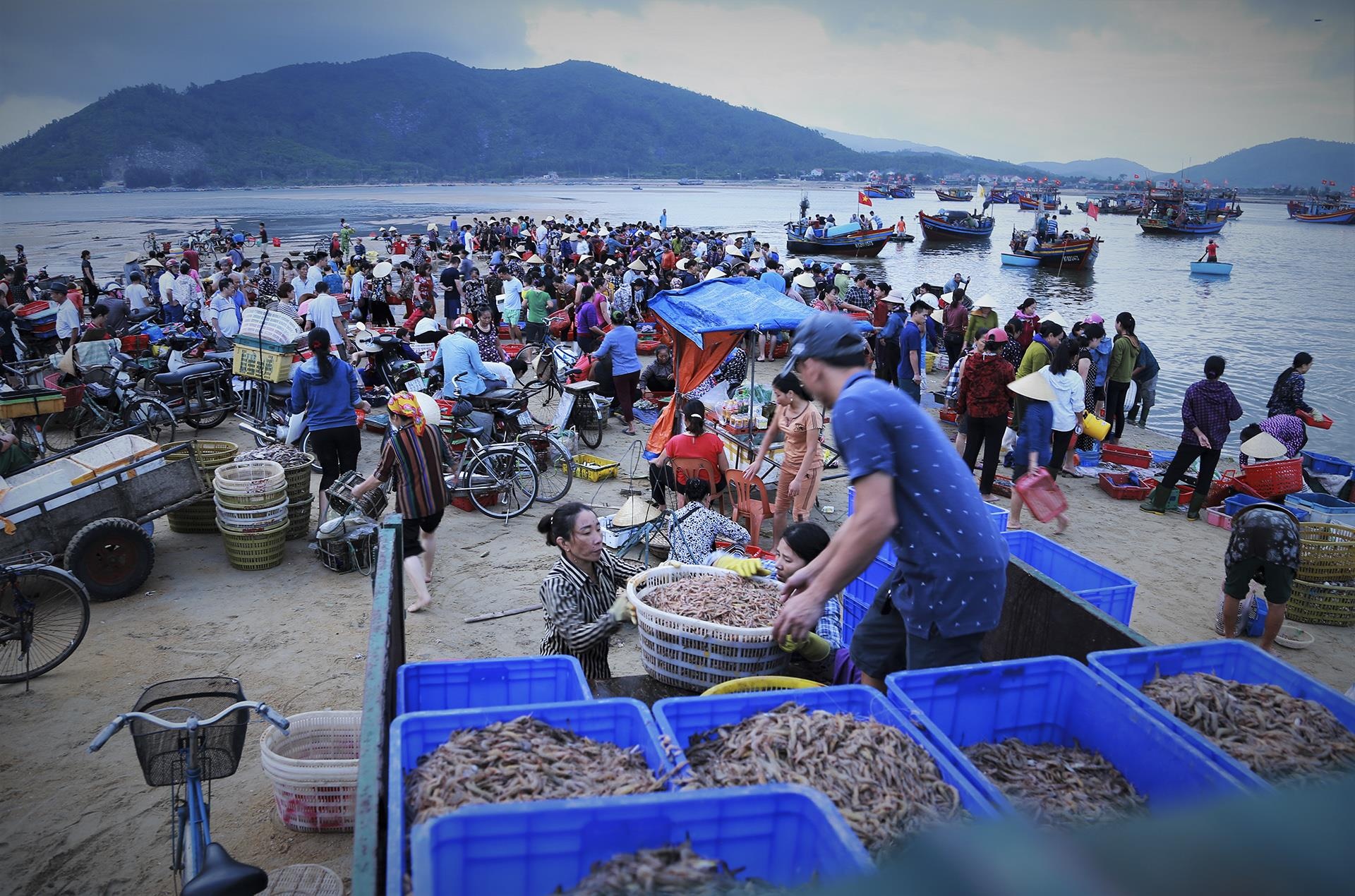 cho ca luc rang sang tren bo bien anh 15