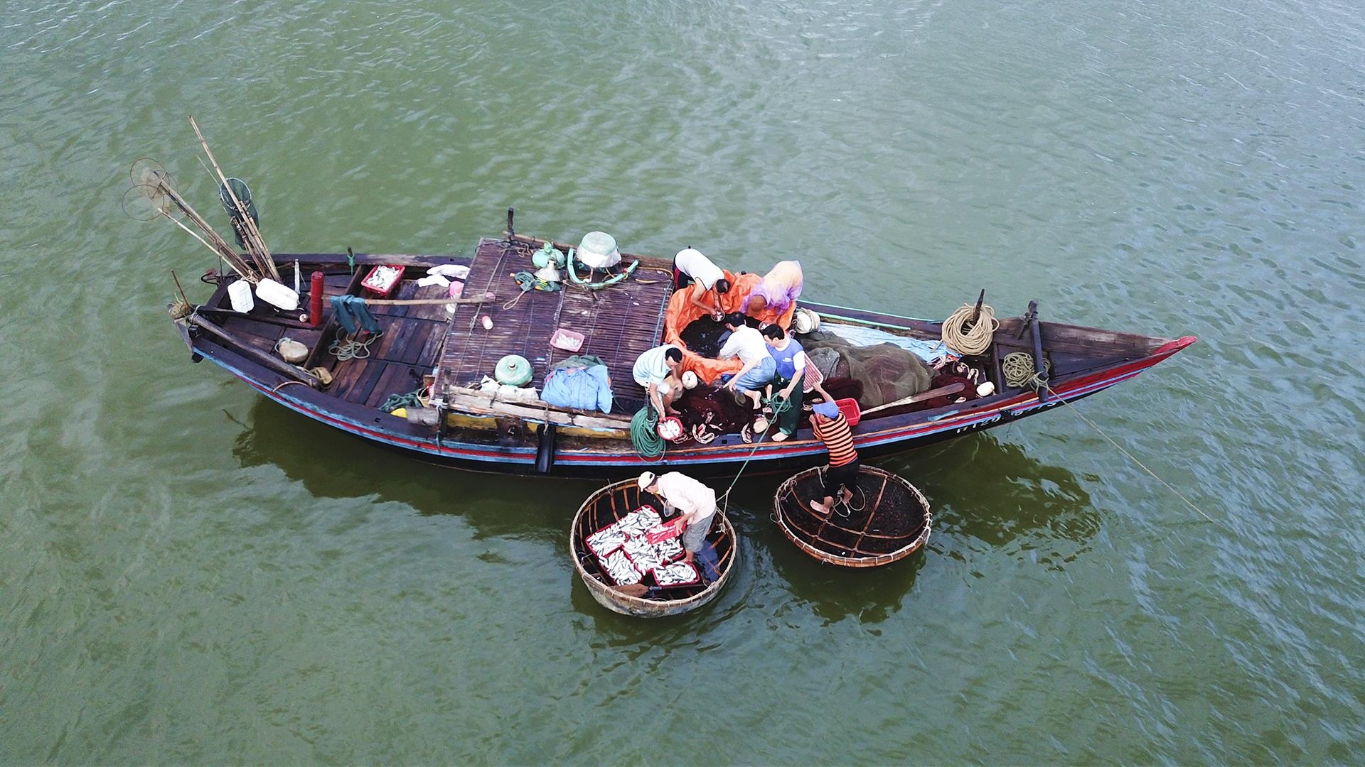 cho ca luc rang sang tren bo bien anh 6