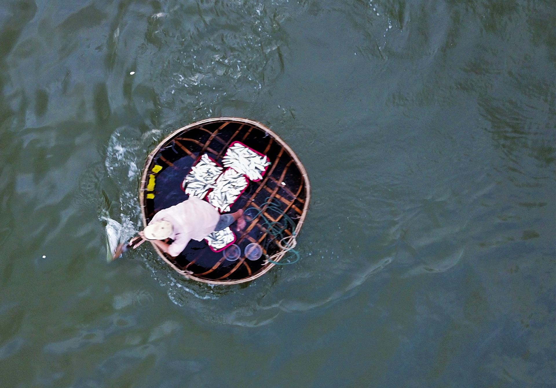 cho ca luc rang sang tren bo bien anh 7