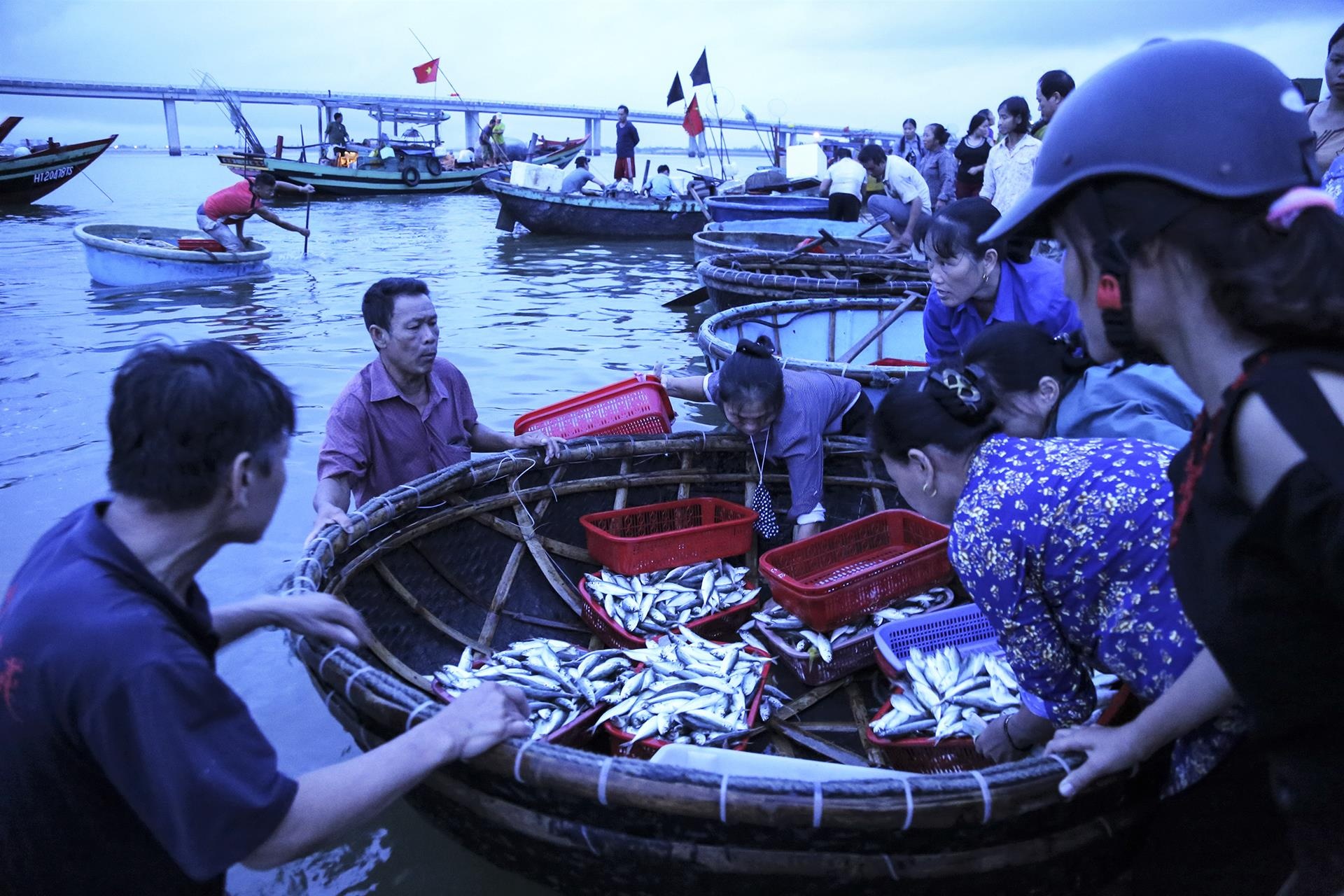 cho ca luc rang sang tren bo bien anh 8