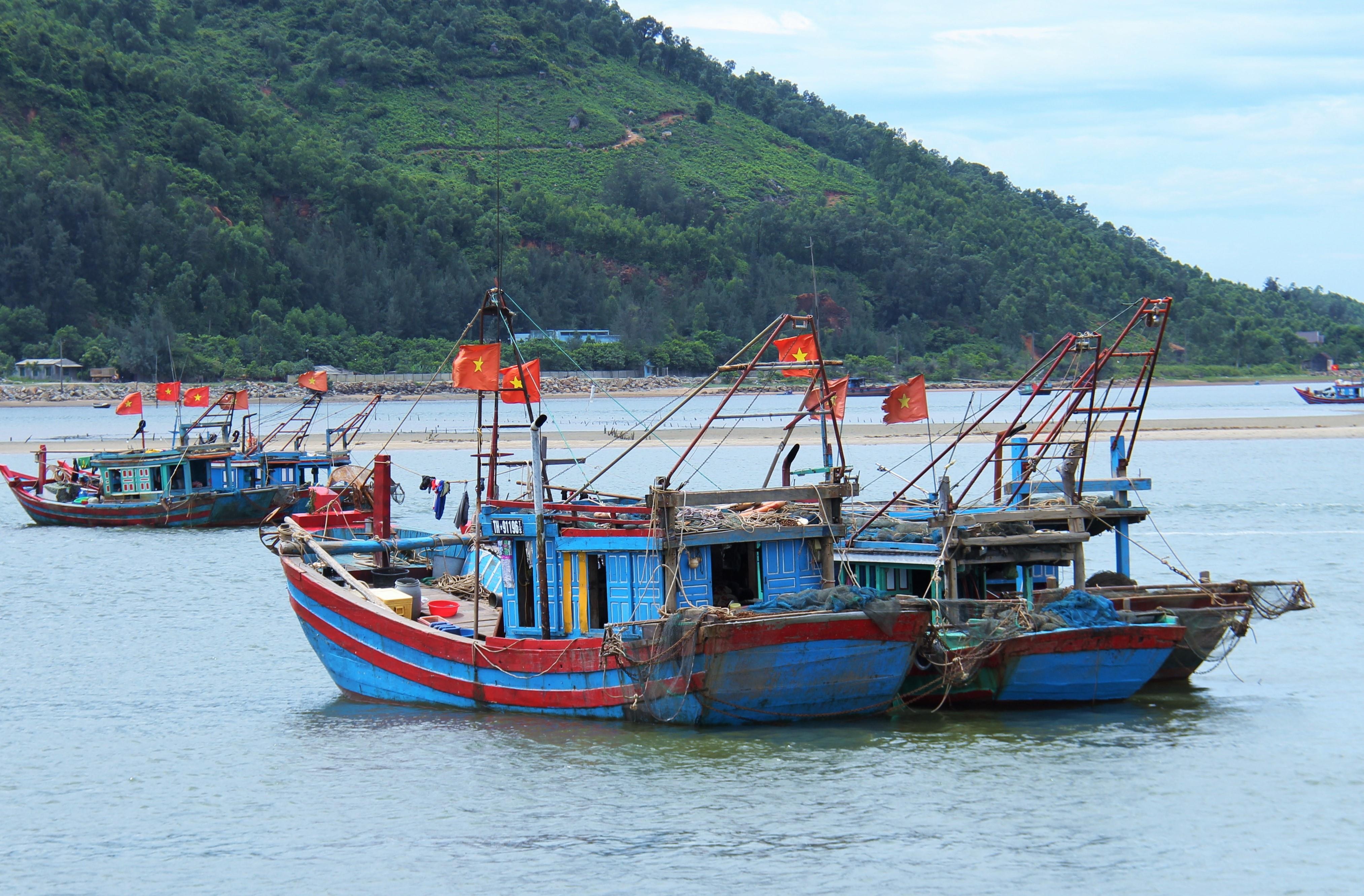 Ton hon 40 ty nao vet luong lach, tau thuyen van mac can hinh anh