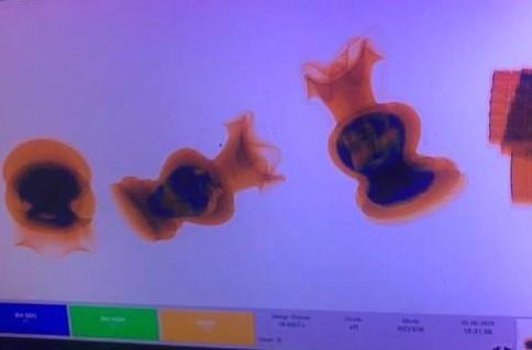 Vận chuyển trái phép chất ma túy ảnh 1 Van chuyen trai phep chat ma tuy anh 1