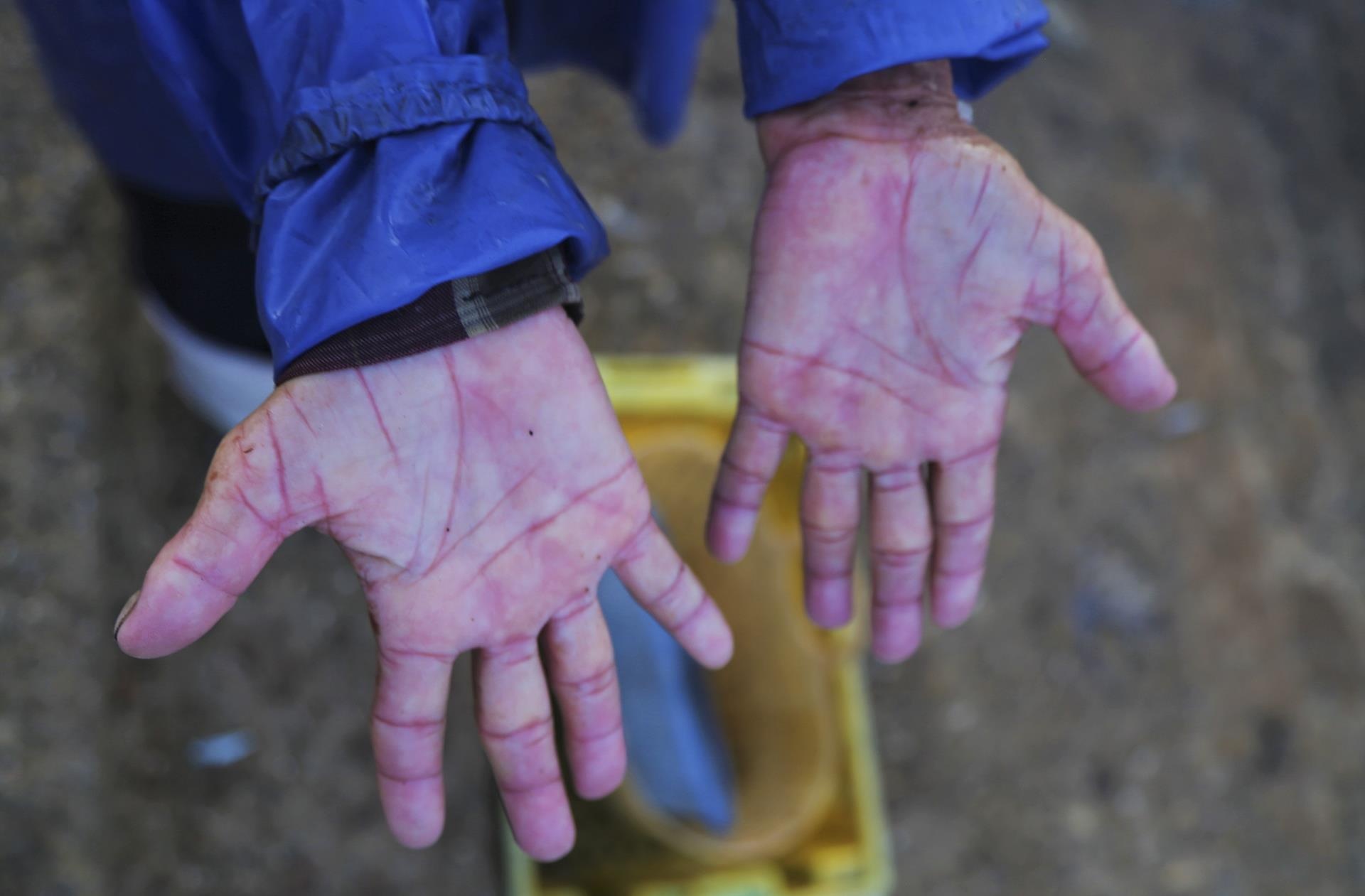 nu phu doi ca noi cang bien anh 6