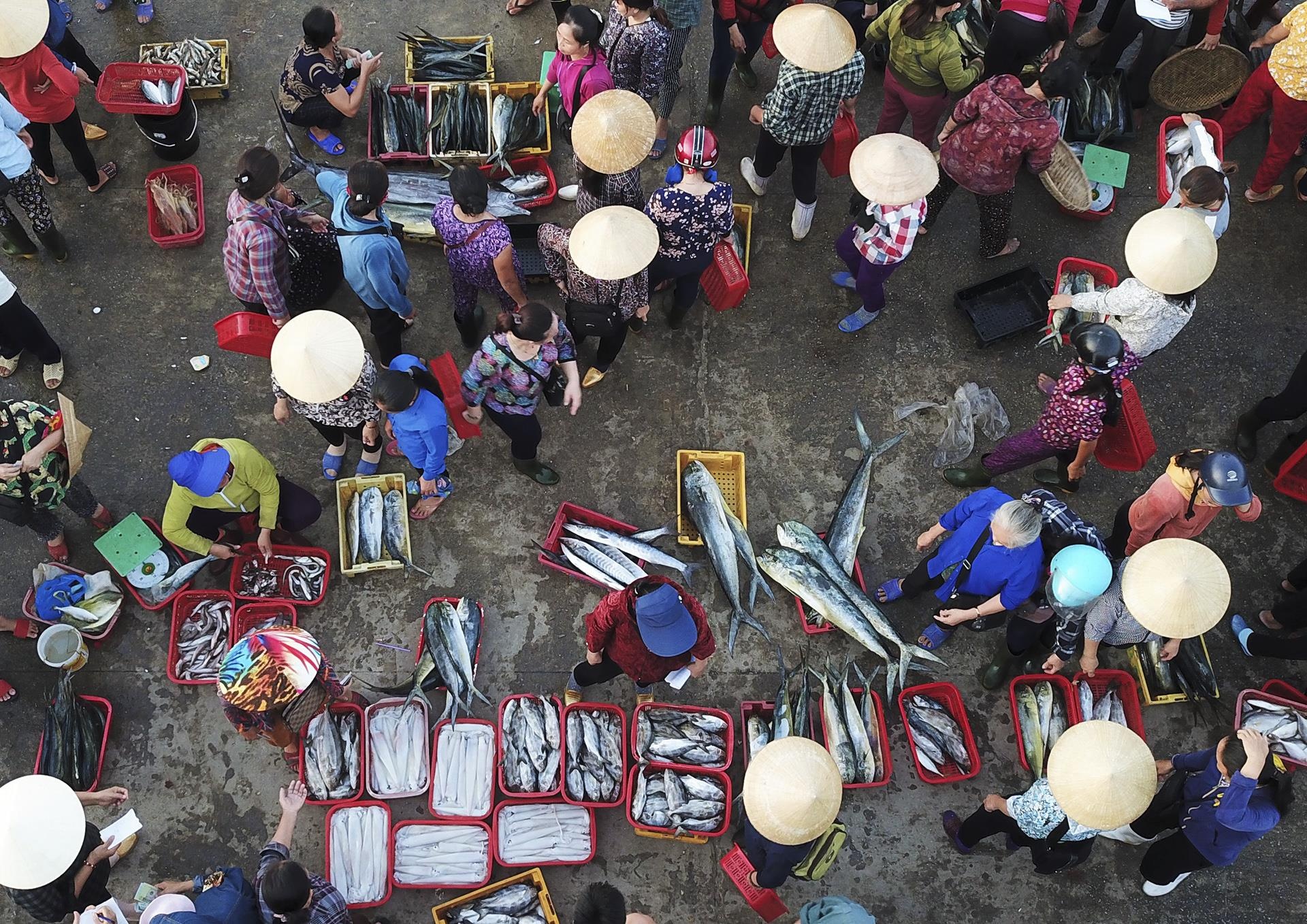 nu phu doi ca noi cang bien anh 10