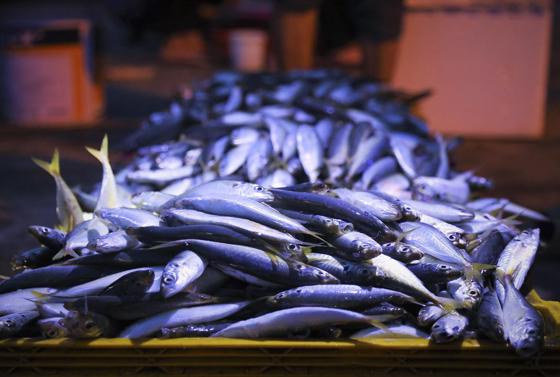 nu phu doi ca noi cang bien anh 11