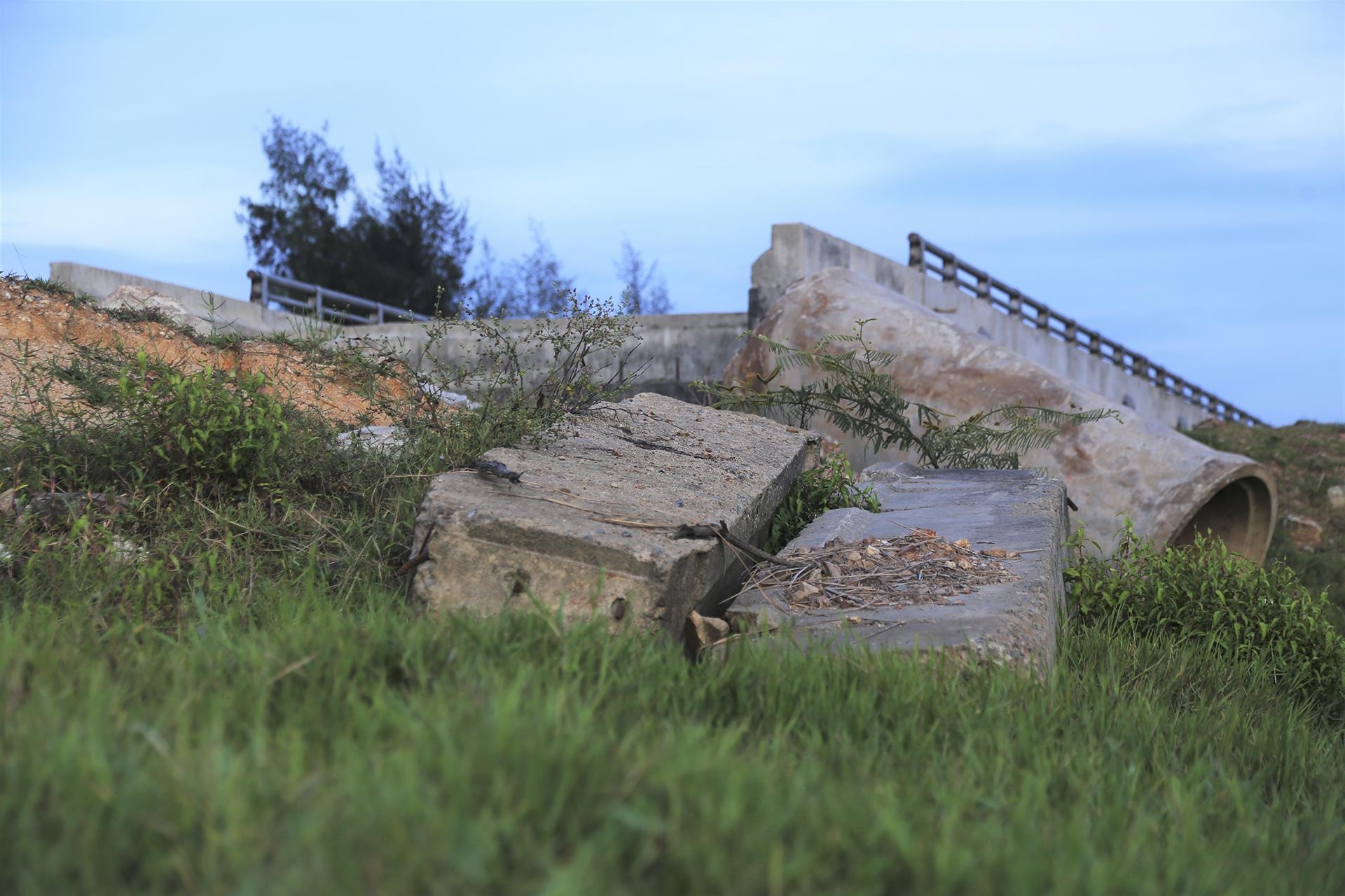 cau tien ty bo khong anh 8