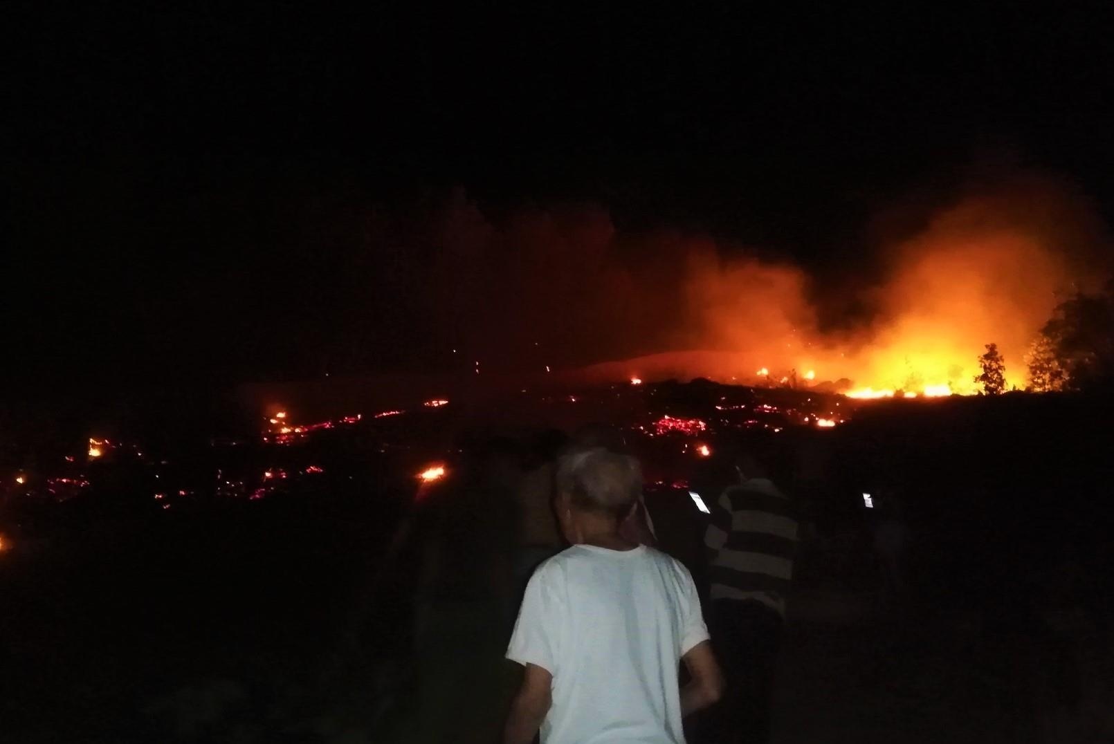 chay rung thong giua dem anh 1