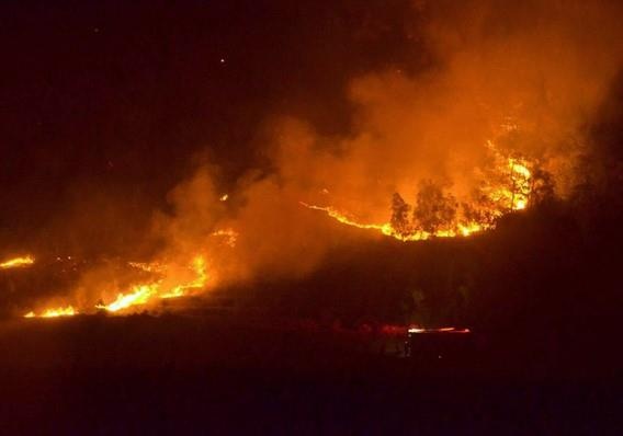 Chay ngun ngut tren doi thong o Ha Tinh hinh anh