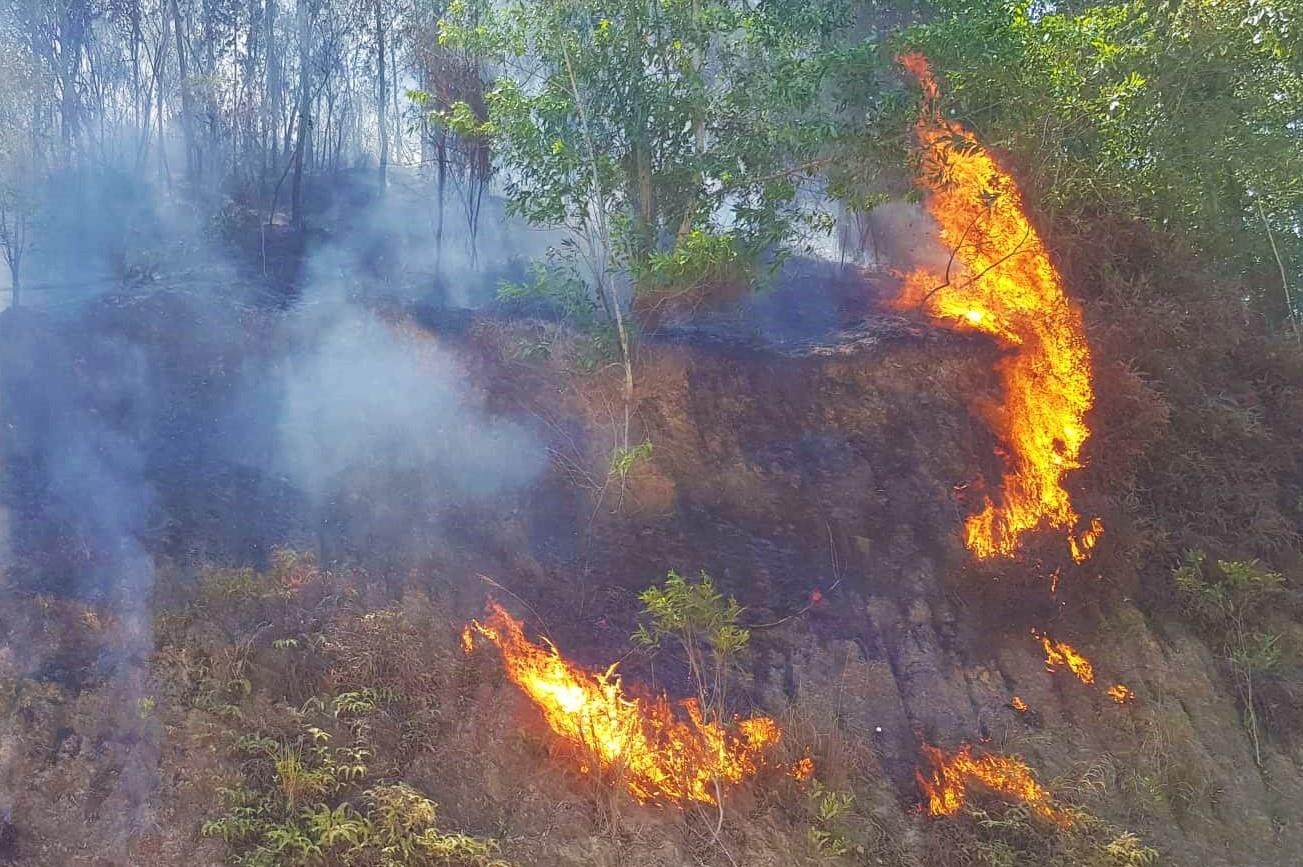 4 vu chay rung lien tiep trong hai ngay o Ha Tinh hinh anh