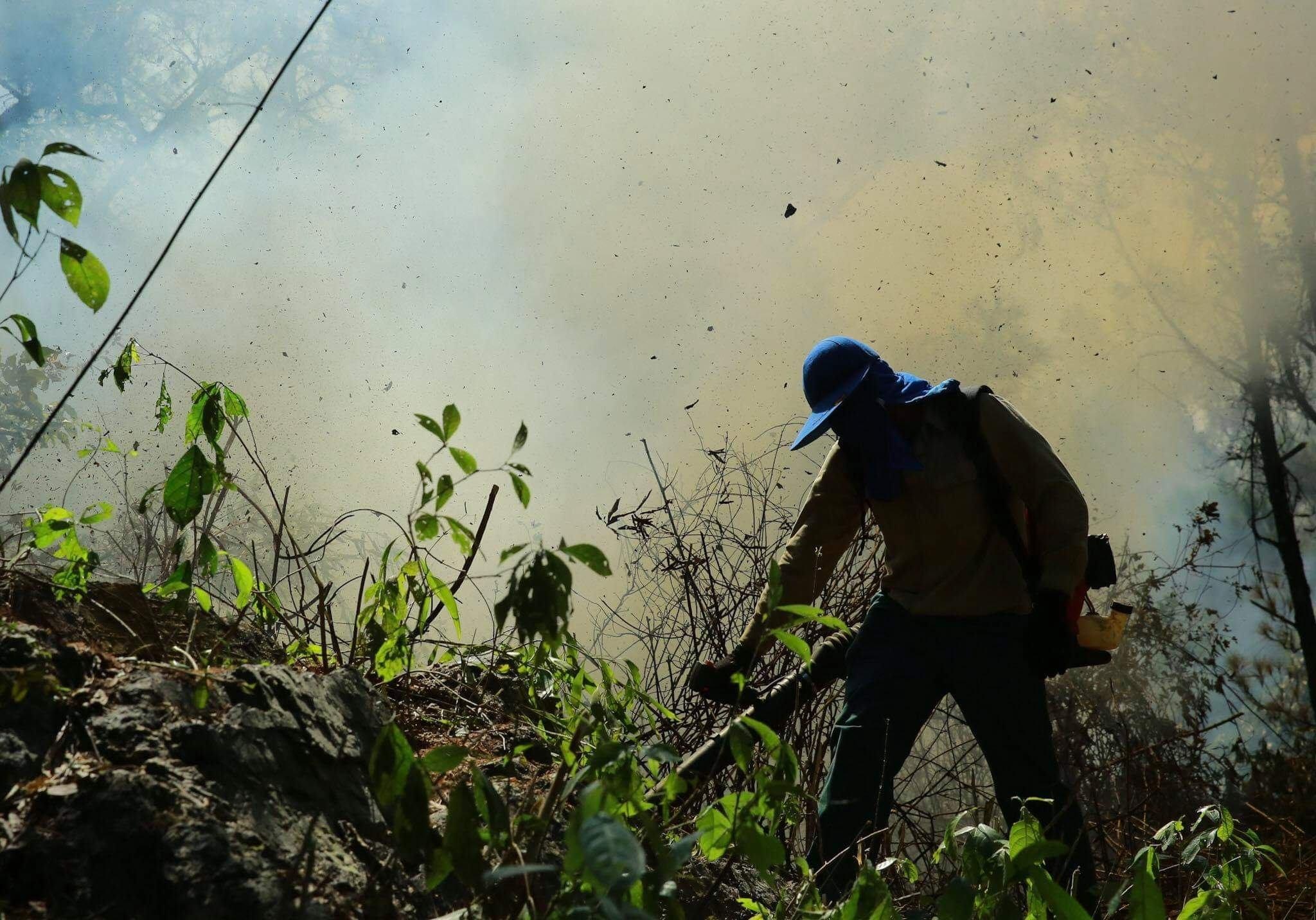 Chay rung thong phong ho o Ha Tinh anh 14