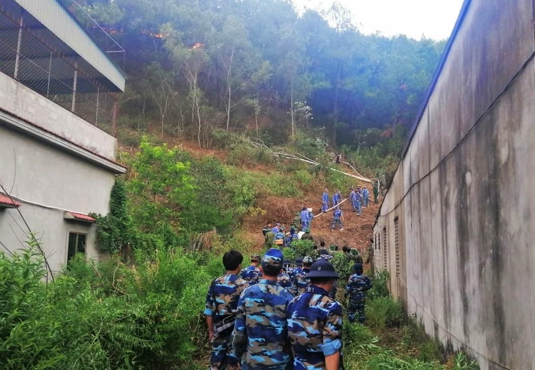 chay rung phong ho Ha Tinh anh 2