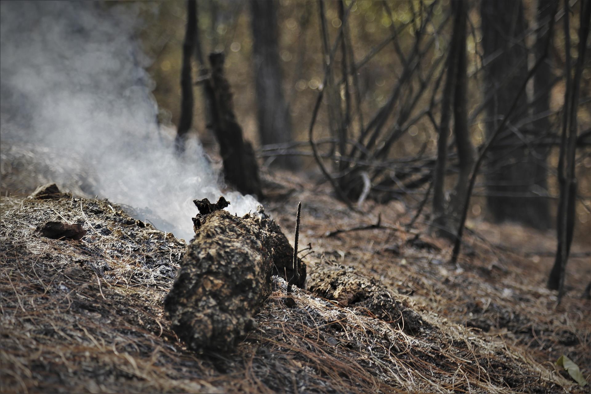 Chay rung thong phong ho o Ha Tinh anh 10