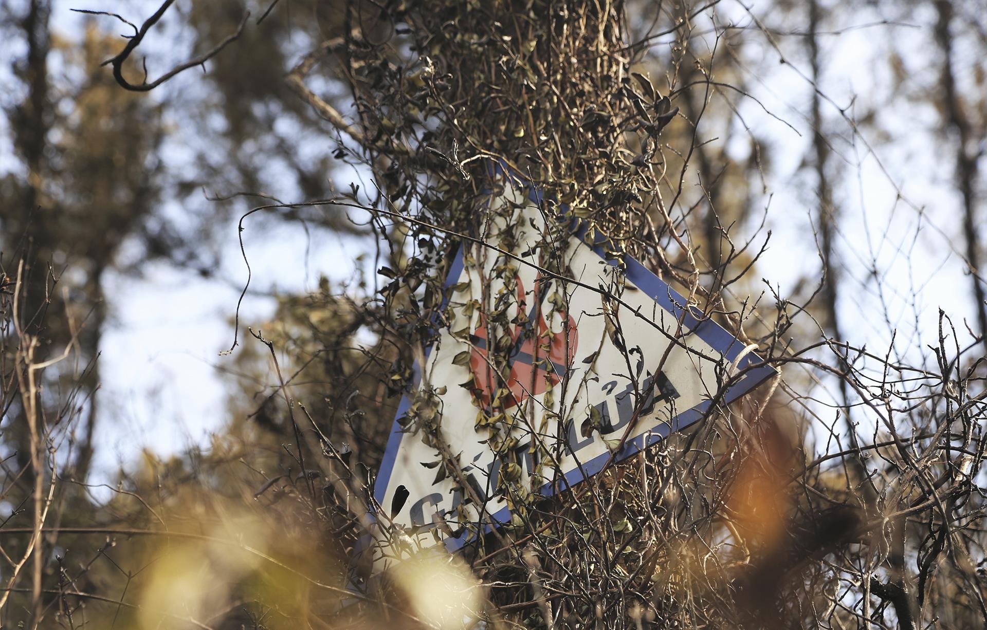 Chay rung thong phong ho o Ha Tinh anh 11