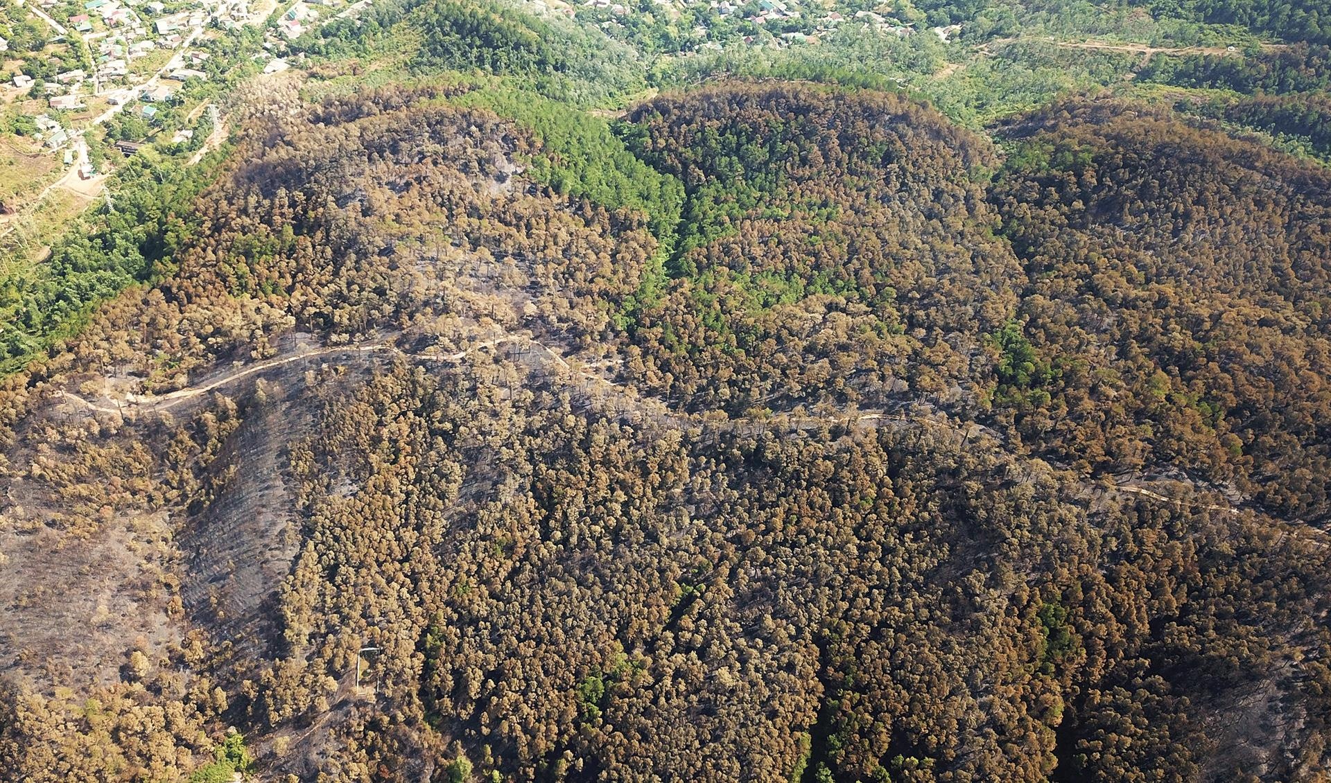 Chay rung thong phong ho o Ha Tinh anh 3