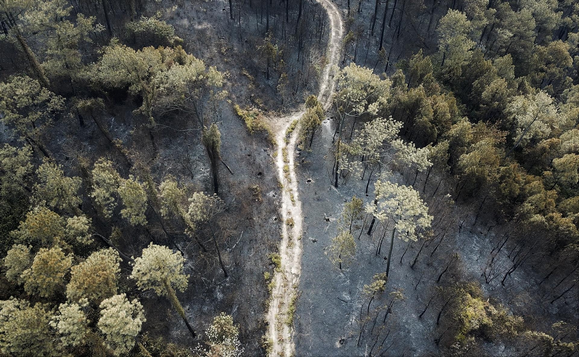 Chay rung thong phong ho o Ha Tinh anh 4