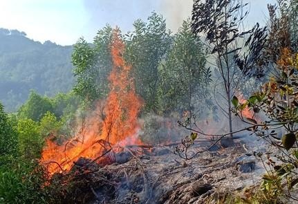 Nguoi phu nu tu vong khi tham gia chua chay rung hinh anh
