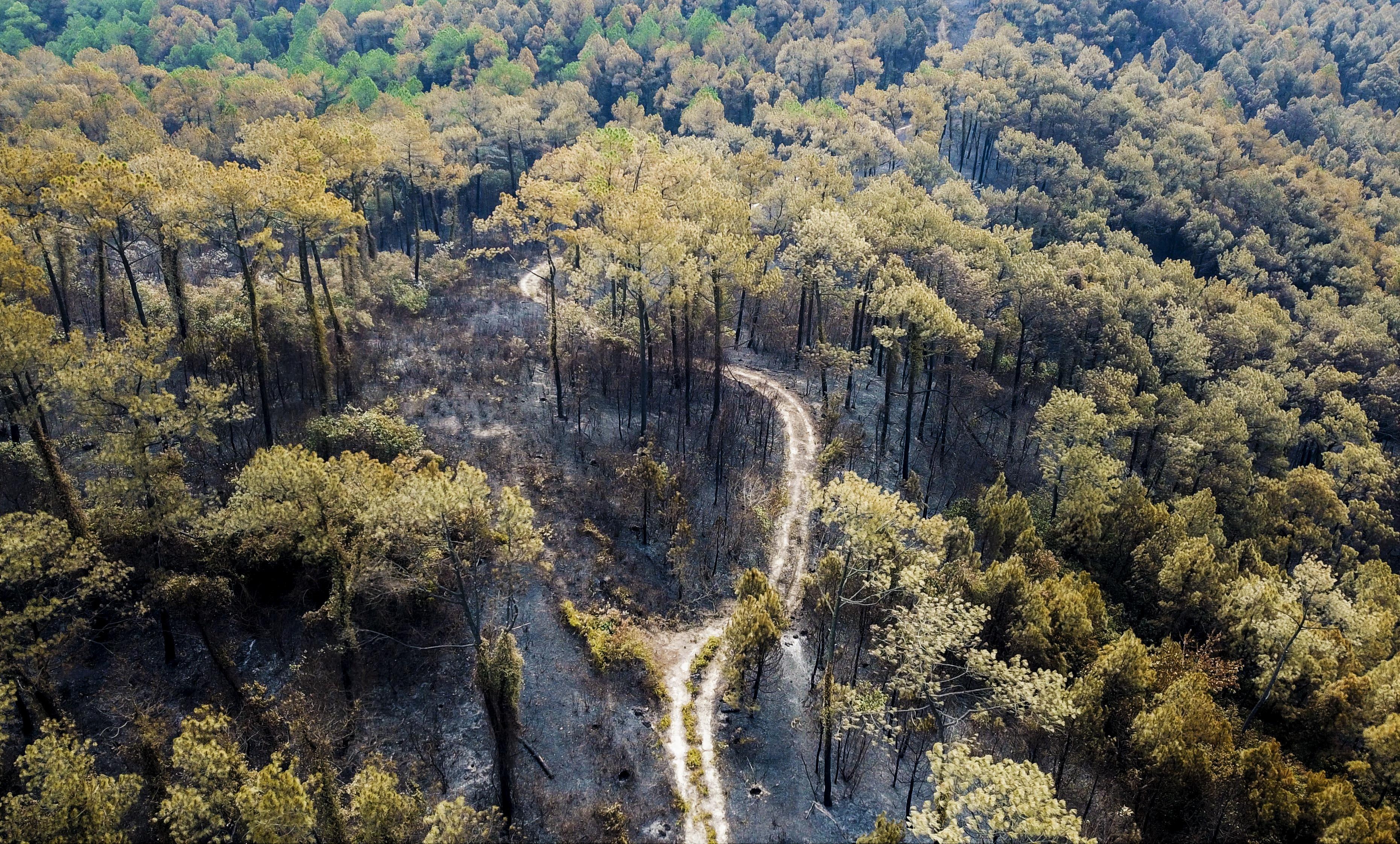 Canh hoang tan o rung phong ho bi lua thieu 3 ngay nhin tu tren cao hinh anh