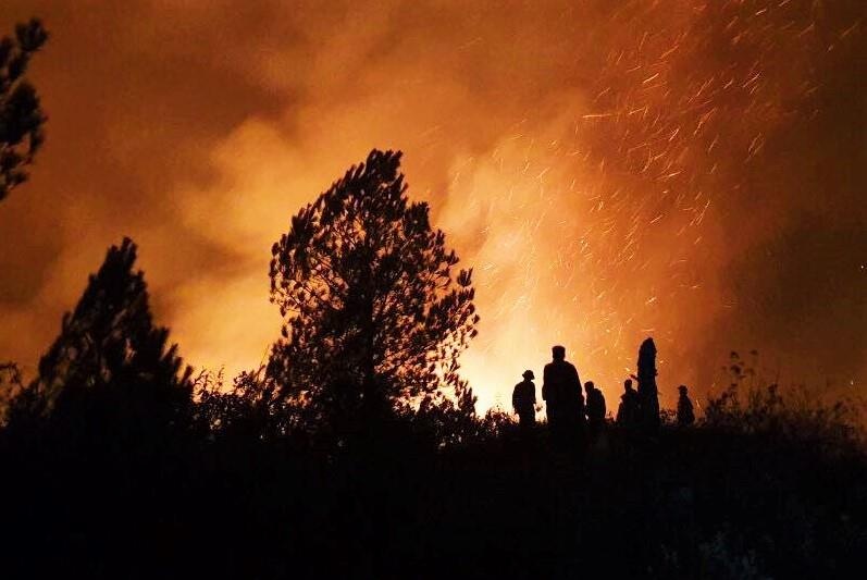 chay rung o Ha Tinh anh 1