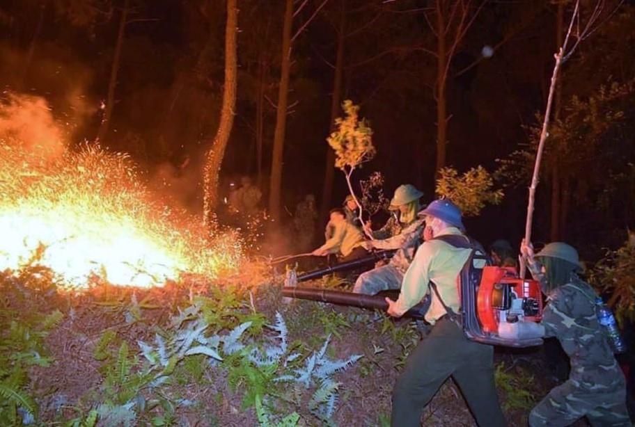 Chay rung lien tiep o Nghe An, Ha Tinh hinh anh