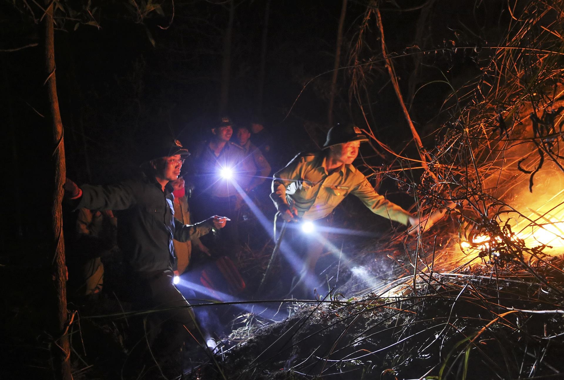 trang dem chua chay rung o Ha Tinh anh 15