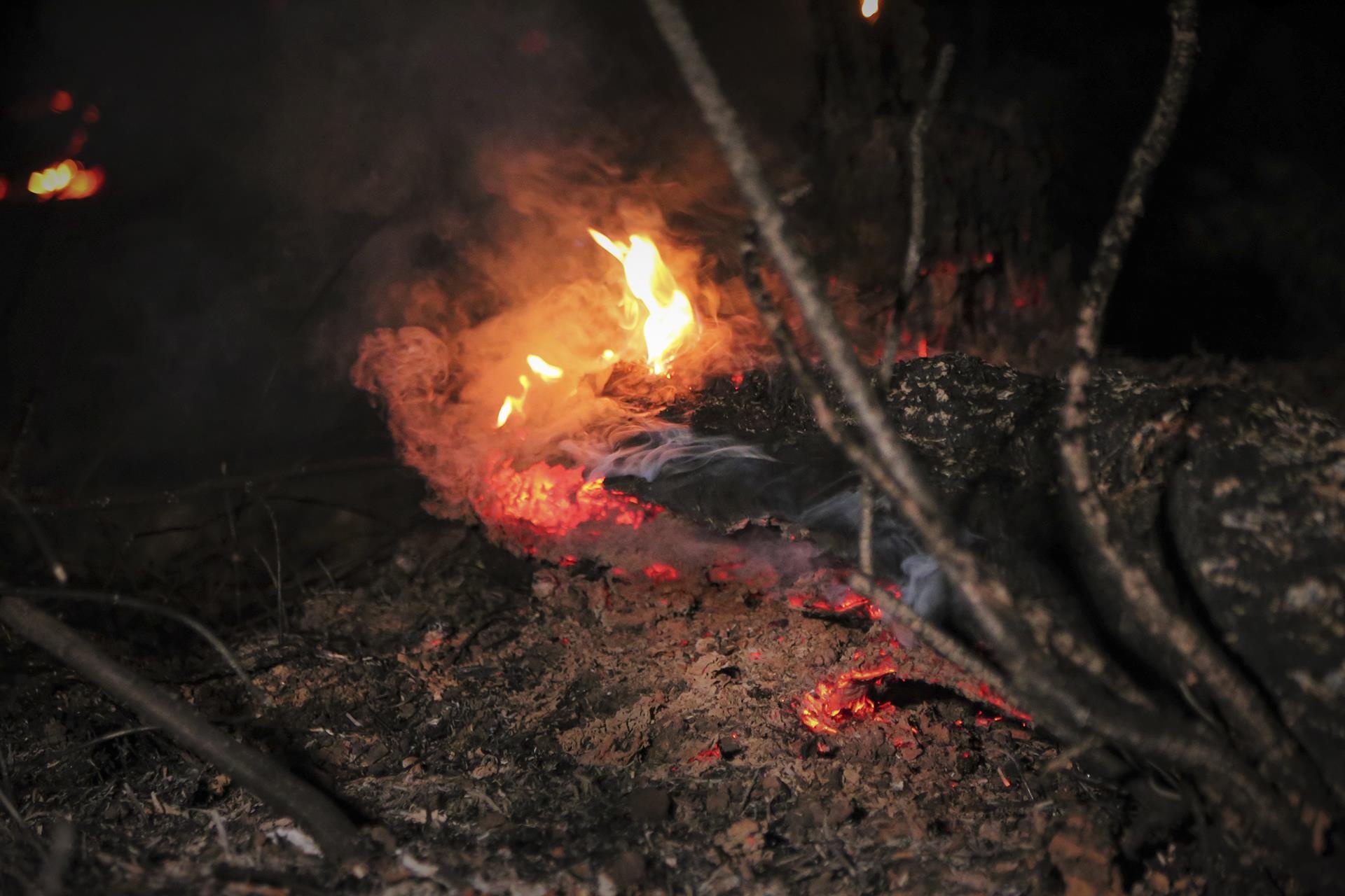 trang dem chua chay rung o Ha Tinh anh 14